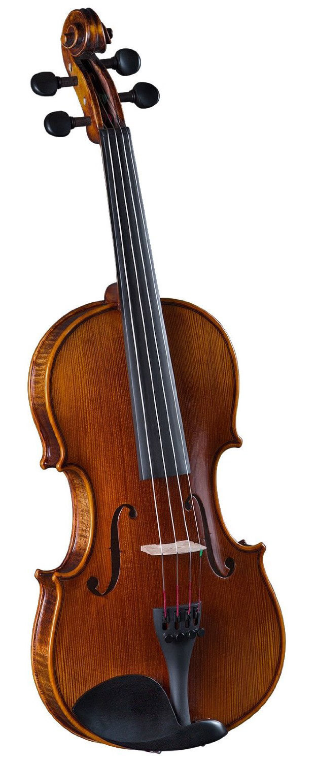 15 Best Violin Brands Reviews 2017