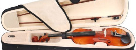 Cecilio CVN-300 Violin