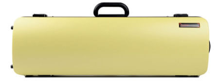 Oblong violin case