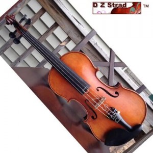 D Z Strad Violin N615 Full Size 4/4