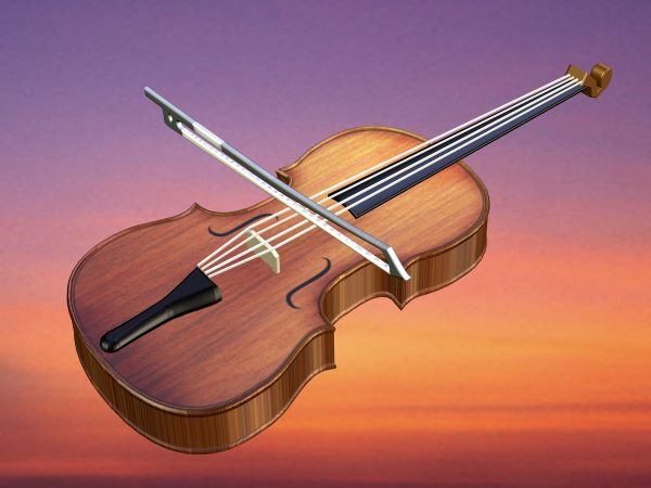 violin and bow