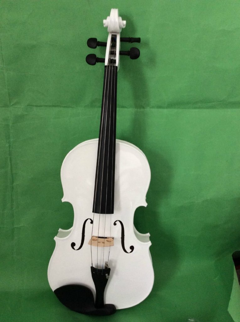 The 10 Best Electric Viola Brands 2024