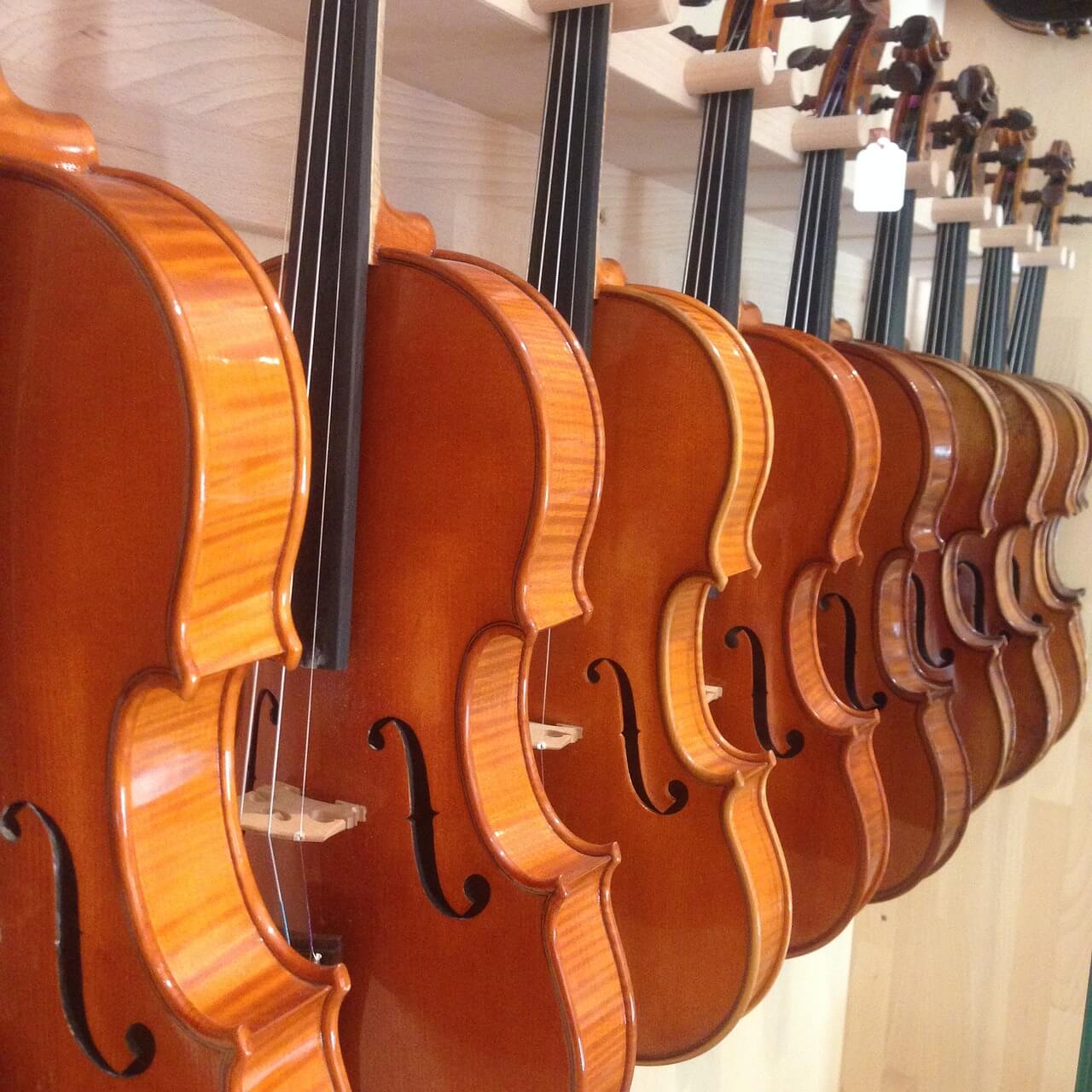 The 10 Best Electric Viola Brands 2024