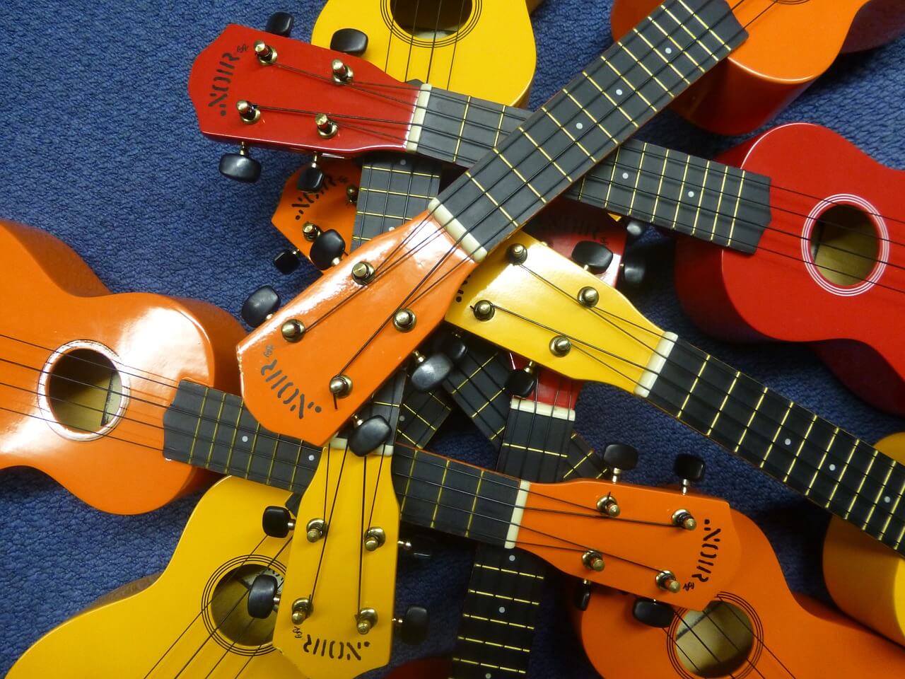 different ukulele