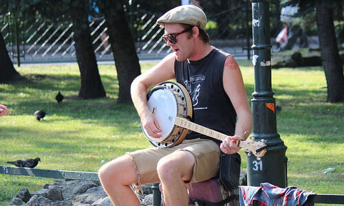 banjo - type of wood