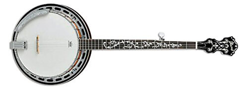 Ibanez B200 5-String Banjo