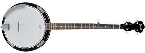 Ibanez B50 5-String Banjo