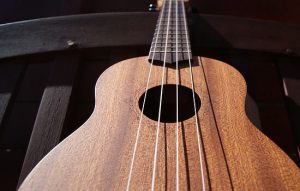 The Best Ukulele Strings: Comparison & Reviews 2024