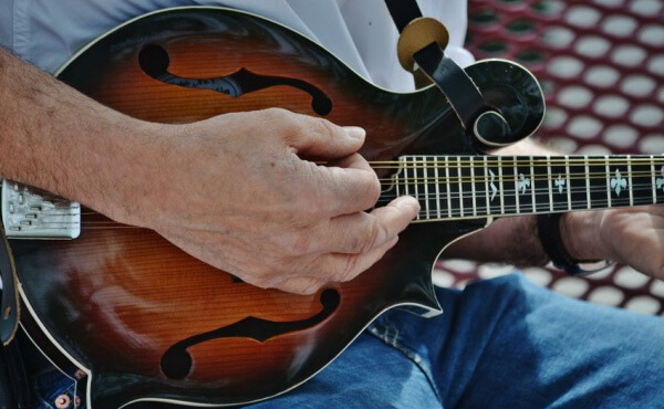 electric mandolin tuner