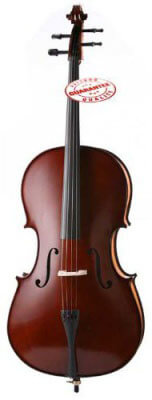 D'Luca Meister Handmade Ebony Fitted Cello