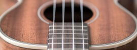 tenor ukulele