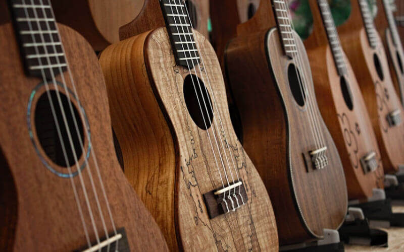 ukelele brands